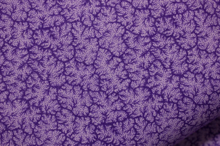 Lilac.jpg
