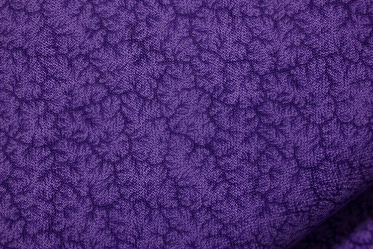 Purple.jpg