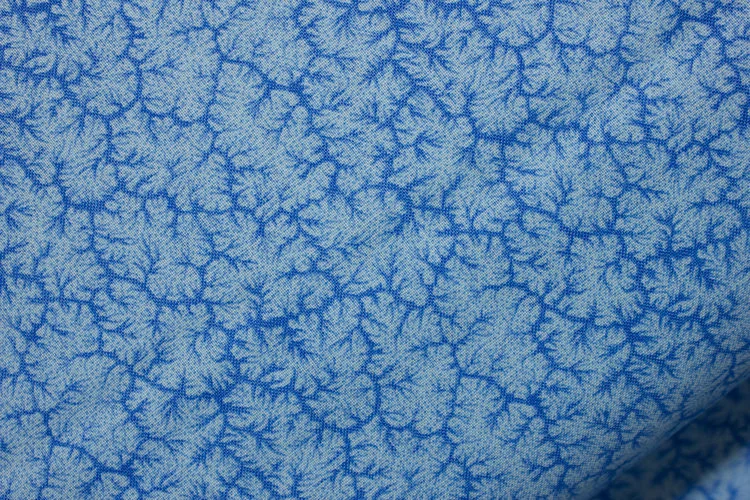 Light Blue.jpg