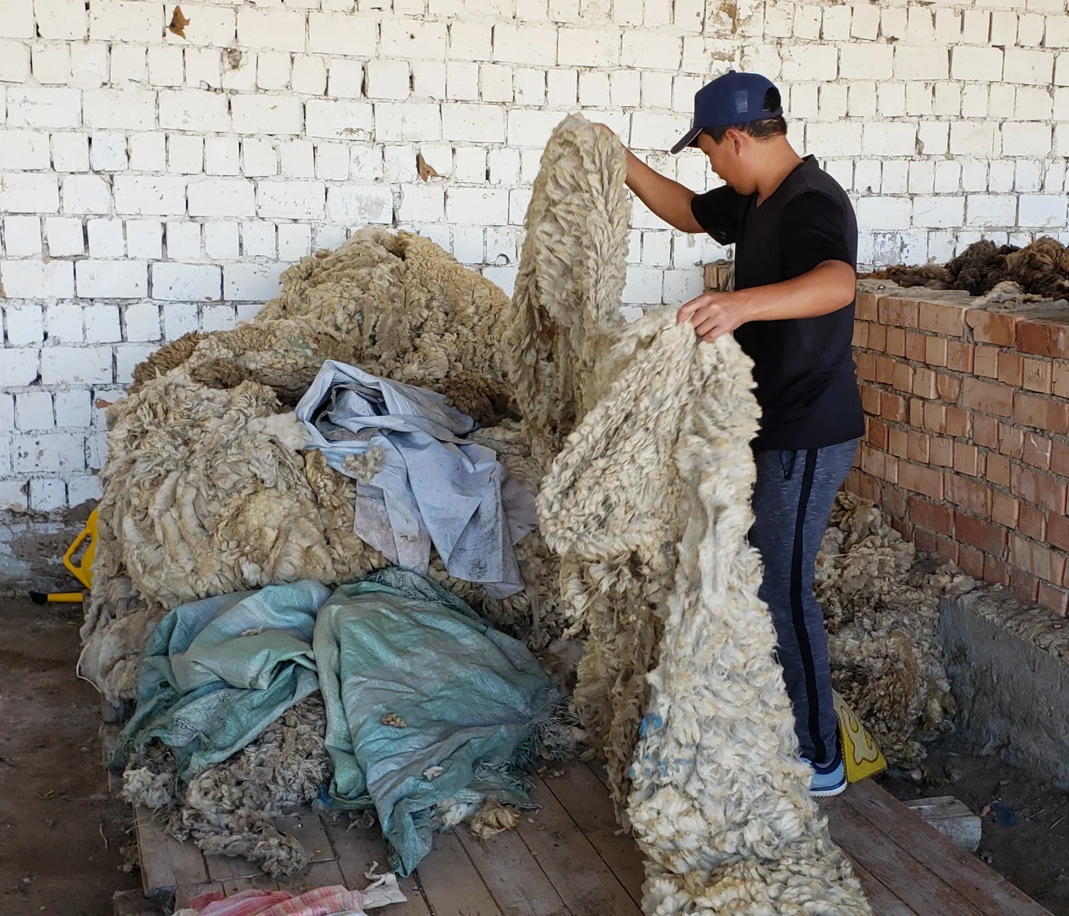 Raw wool