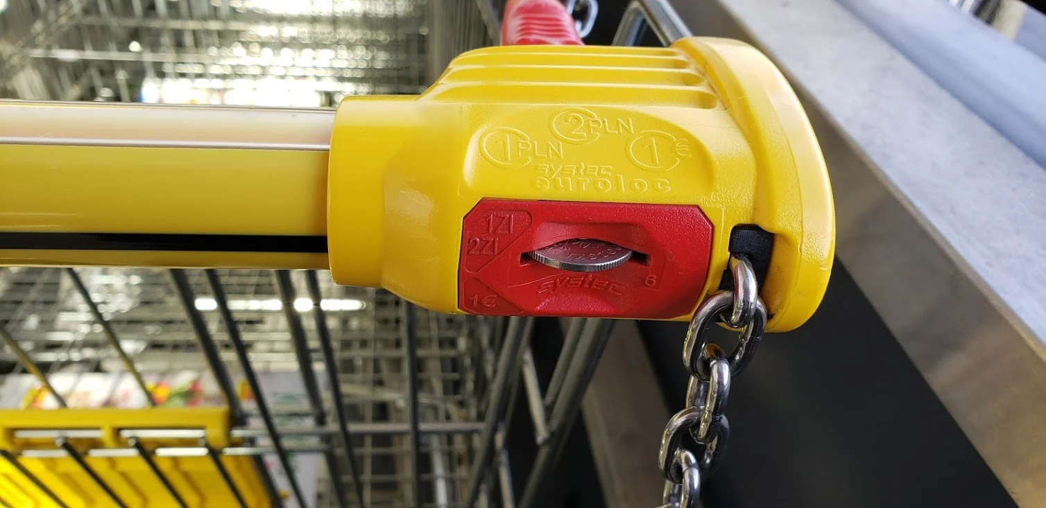 "The Twin Thing!" - Rachael and Becky shop at a Deep Discount Grocery store!