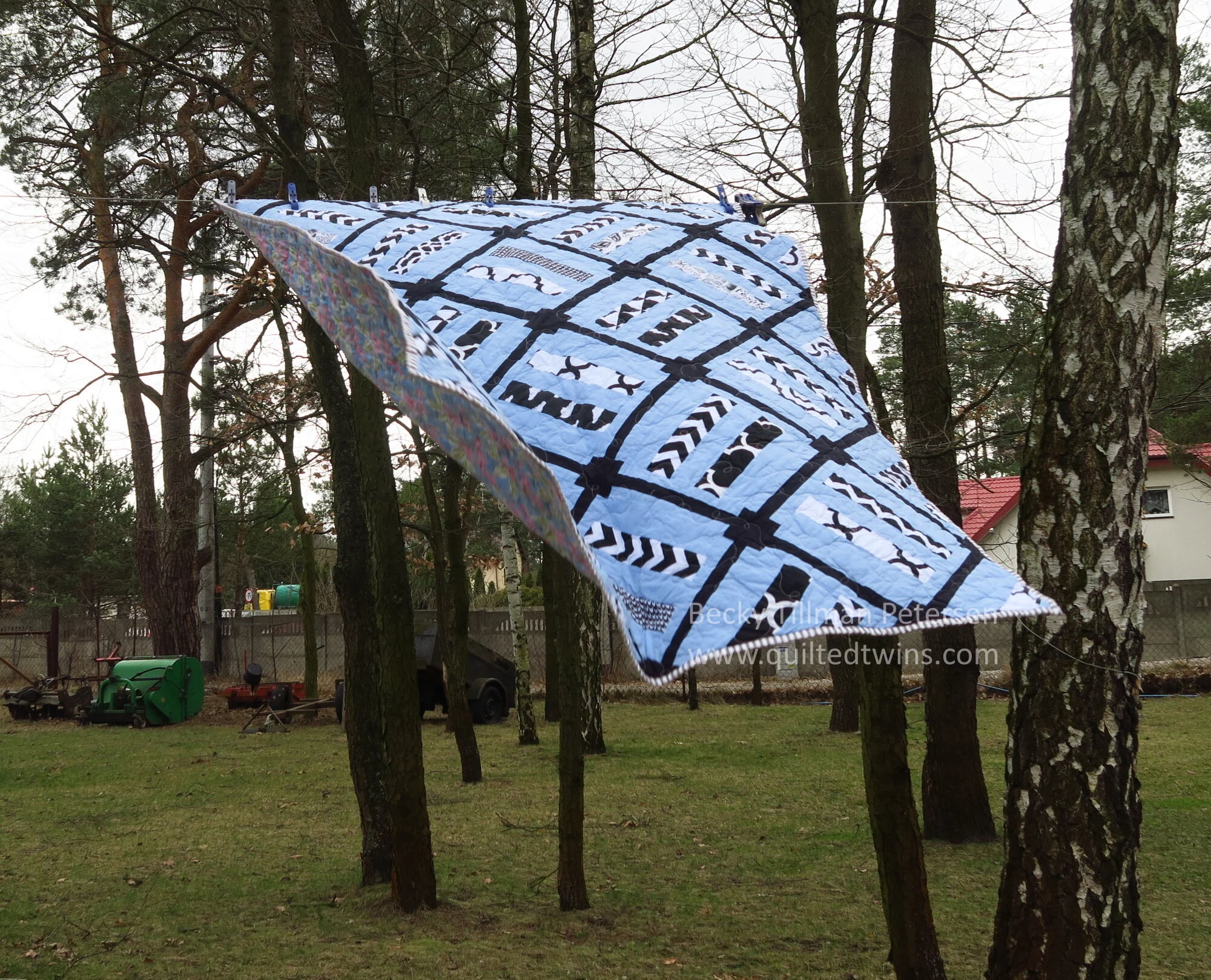 "Simple Rail Fence on Point" - Geometrics 2