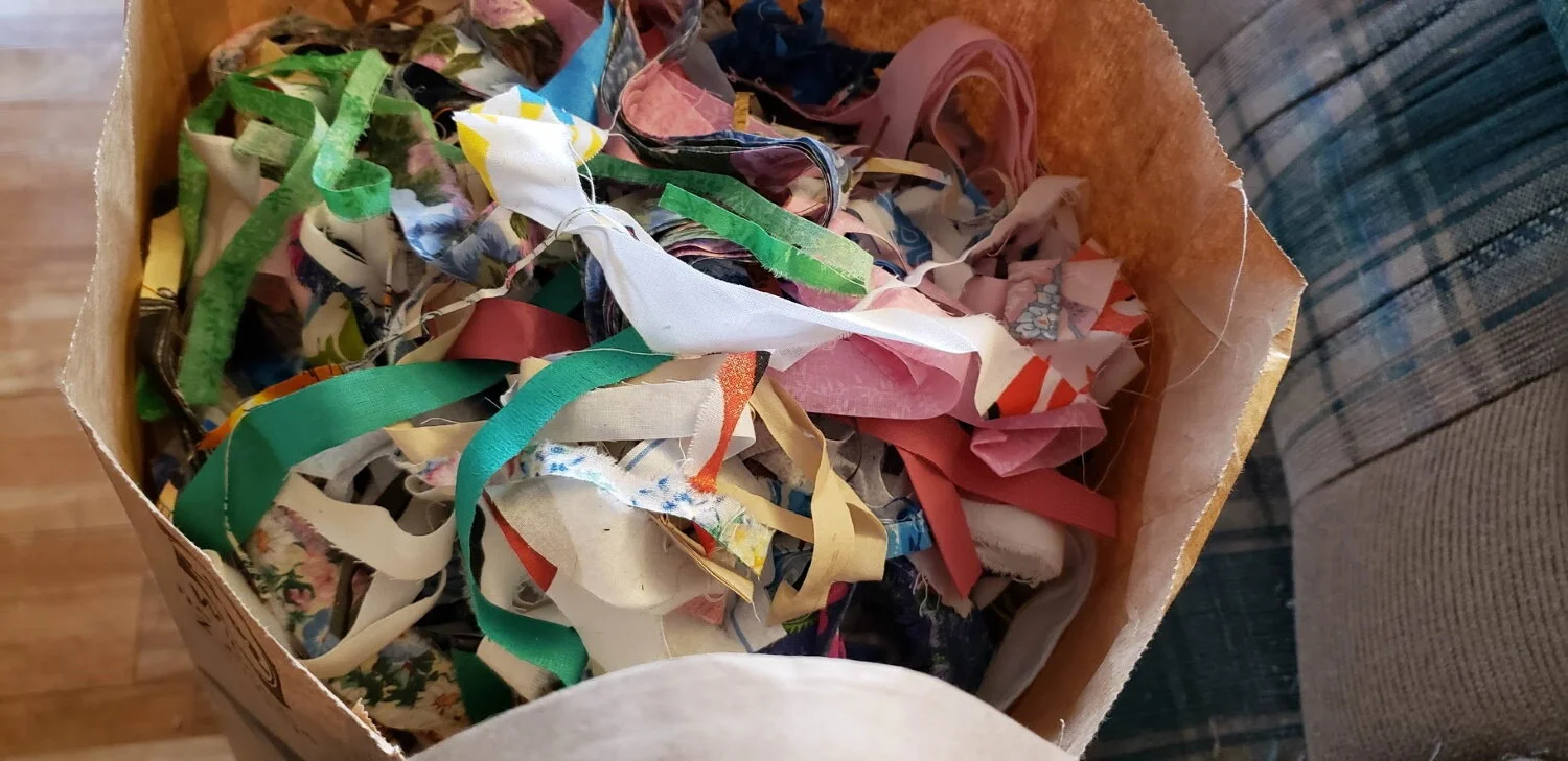 2020 - "Year of the Strips" - February report