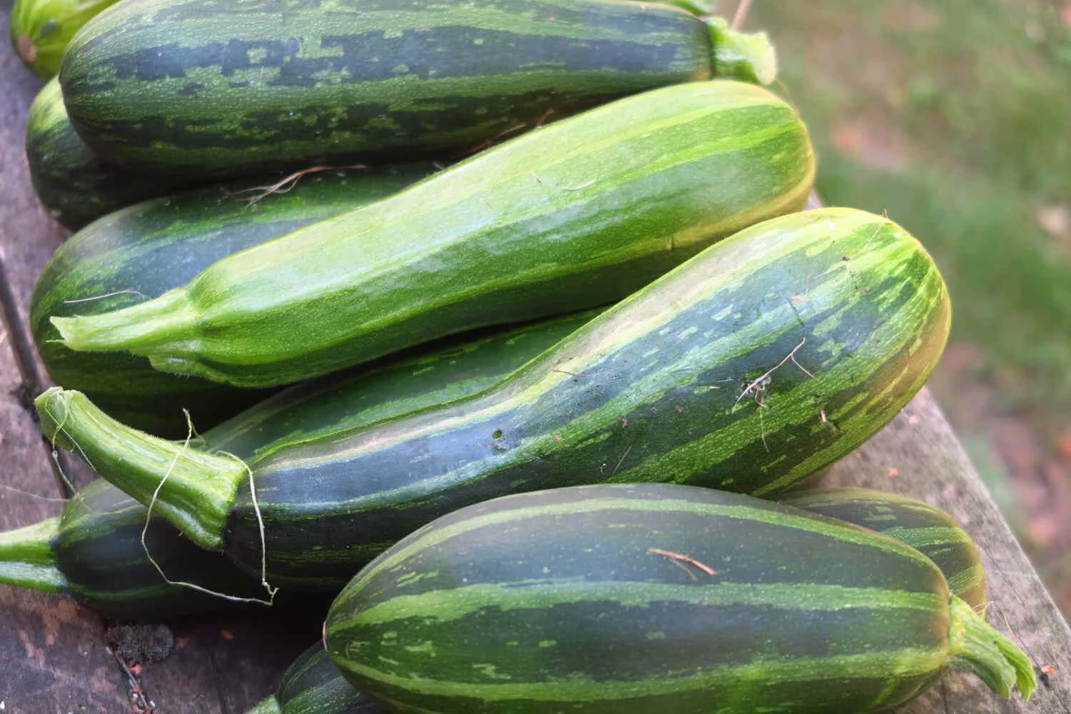 My "not so great" Garden 2020 report