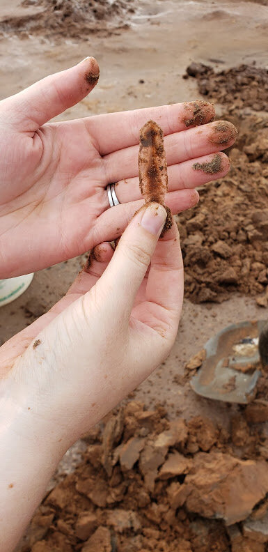 All that travel - vacation time!