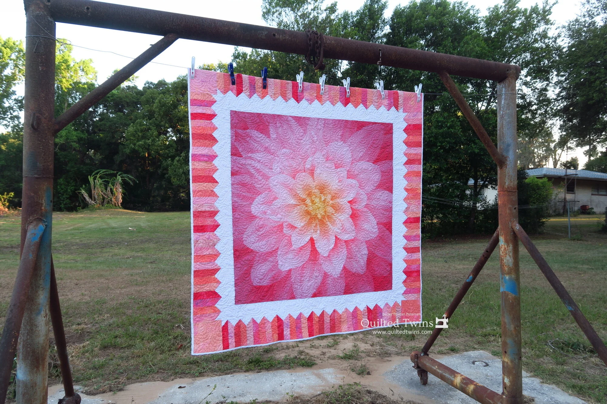 “Dream Big Delight”  (Wild Rose) - a Quilt Panel Kit
