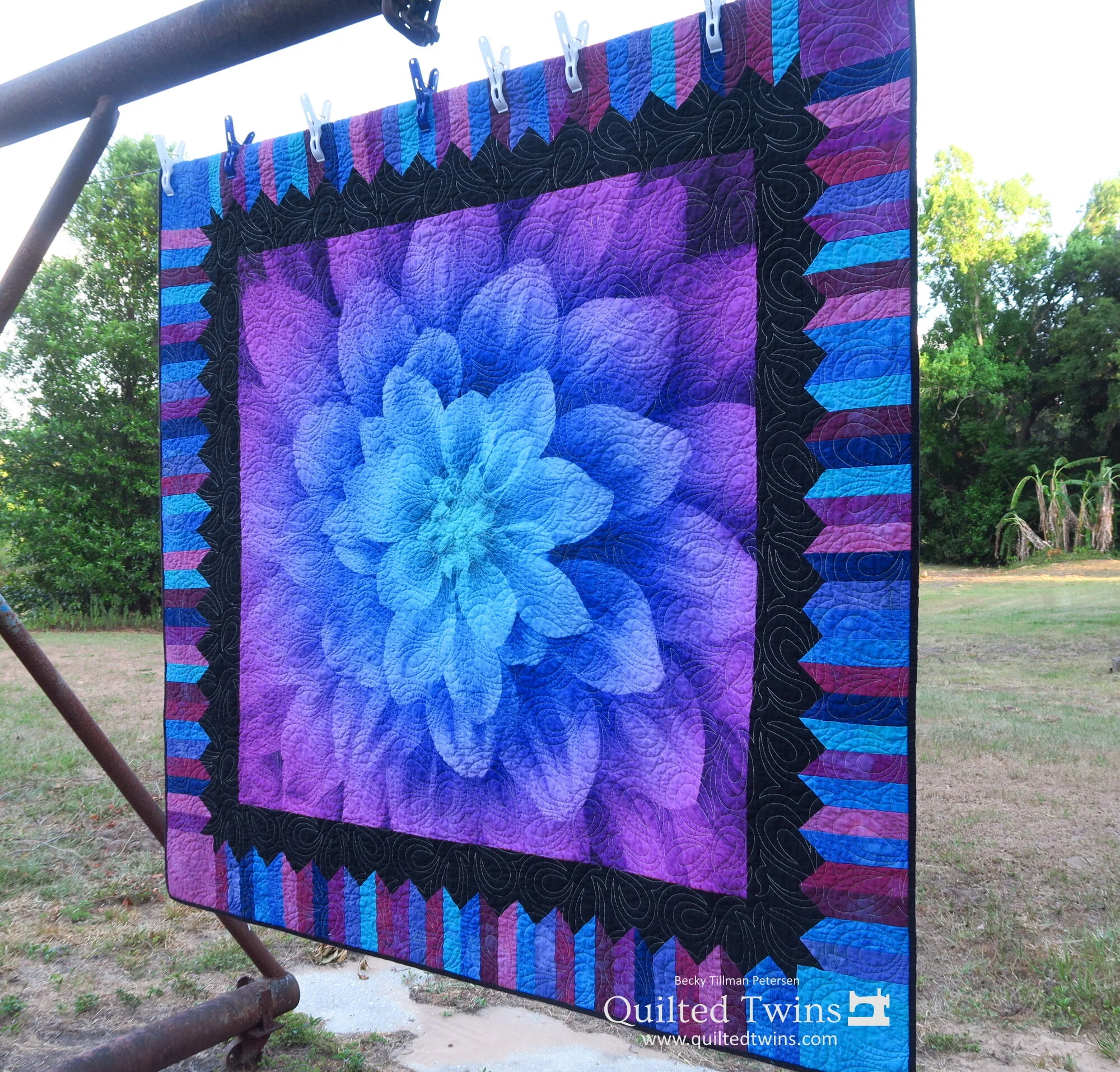 Dream Big Delight - Aurora!