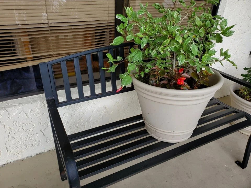 "Elsa" - Tropical Storm preparation and the Quilted Twins