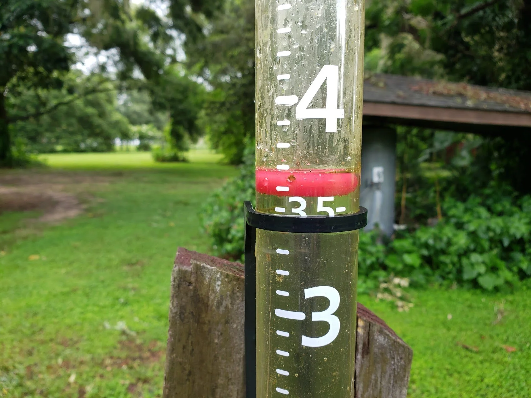 "Elsa" - Tropical Storm - afterwards - what happened?