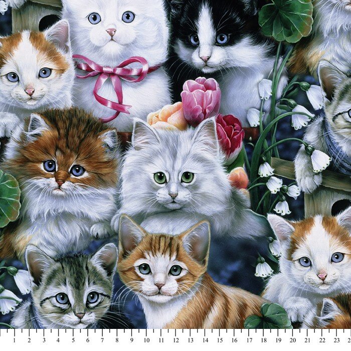 kitties.jpg