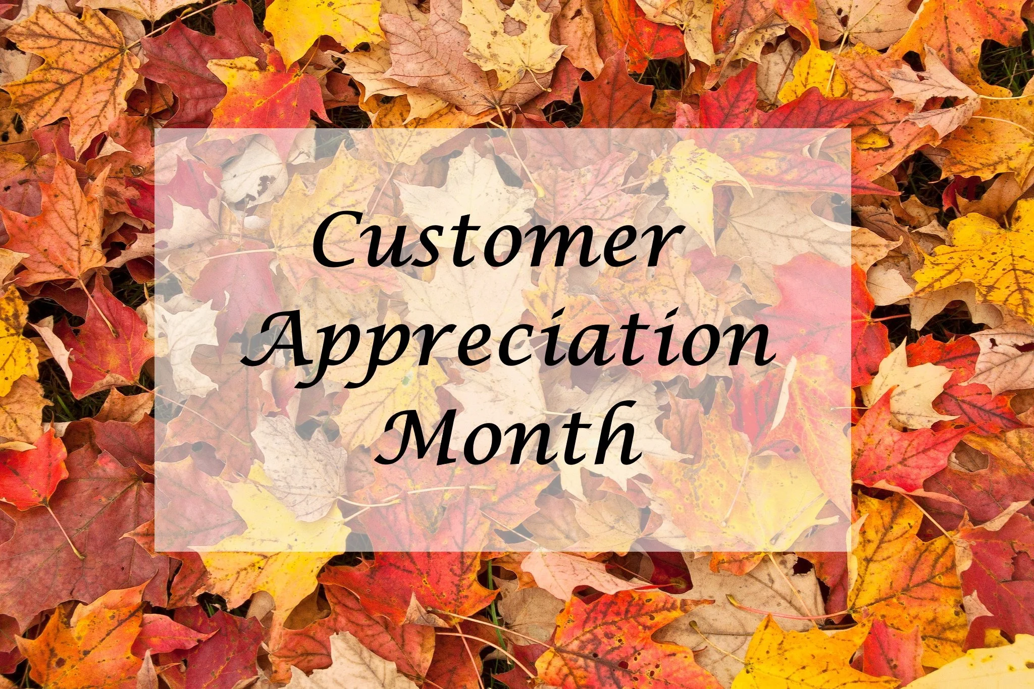 Customer Appreciation Month - Prizes - Part 1 - Daily Winners