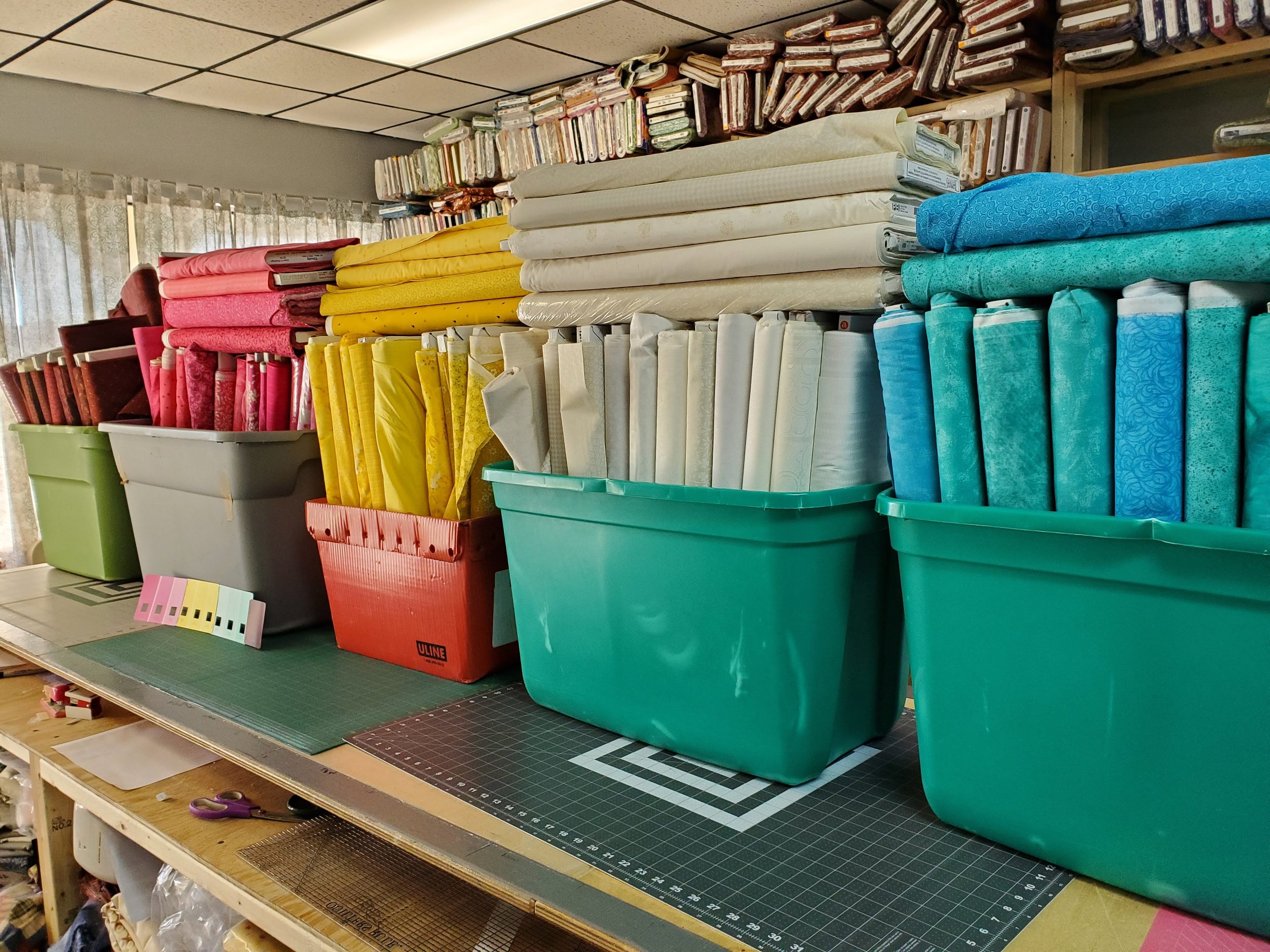 Rhododendron Trail - Blazing our own trail in this year's Bonnie Hunter Mystery quilt.