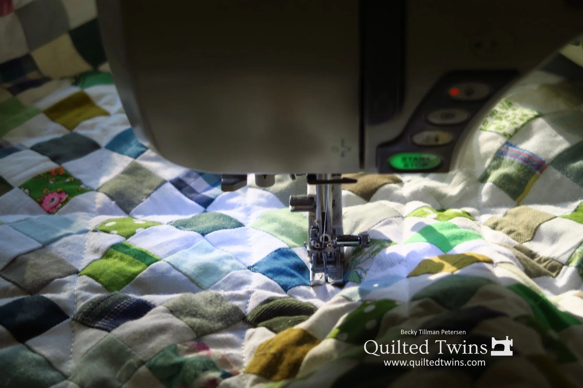 "Checkered" - Up Greens #8