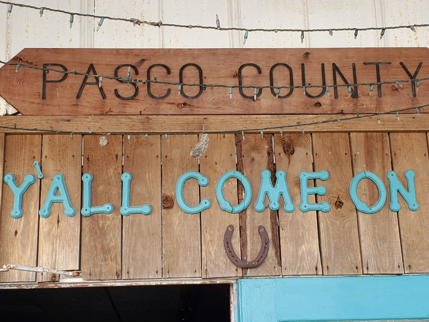 “...Exactly HOW did you get rooked into this, Rachael?” Part 1 of a 4 part Fair Series