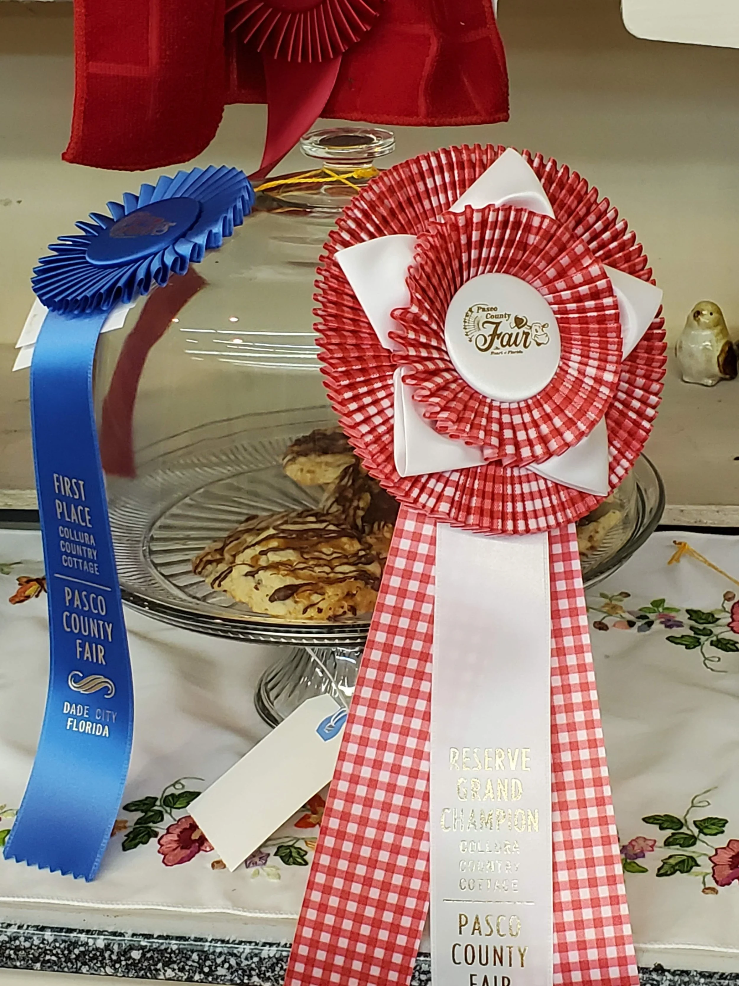 And the winners are.....Part 4 of the Pasco County Fair 2022