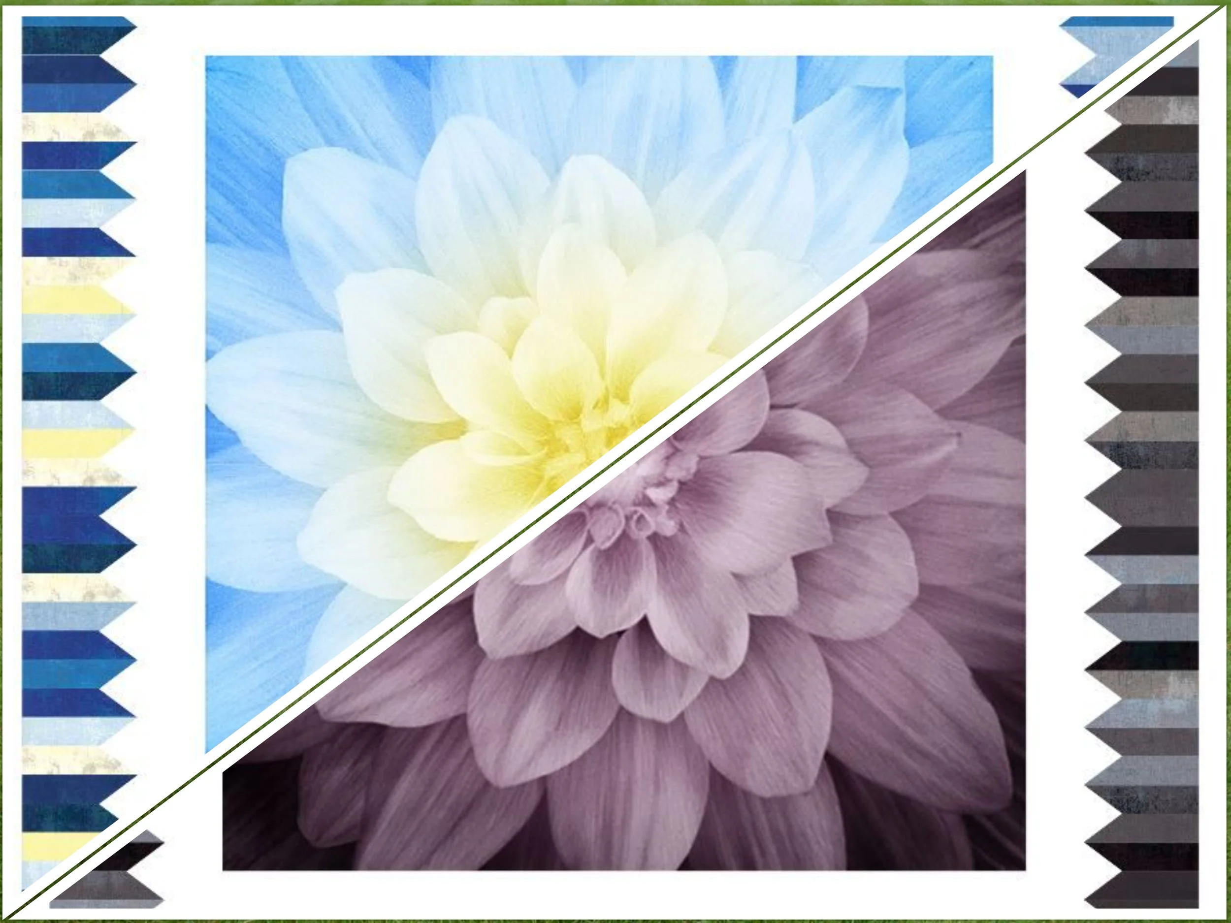 Two new Dream Big Delight quilt kits!