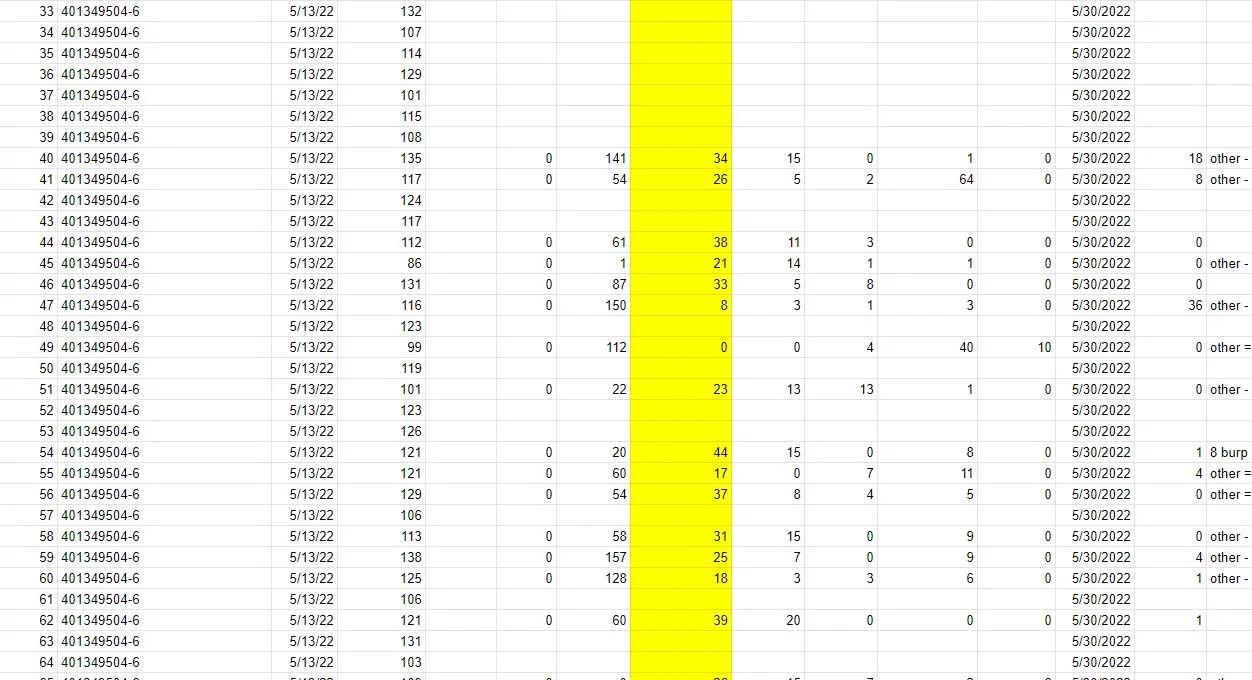 Update on the Boxes of Quilts - It’s time