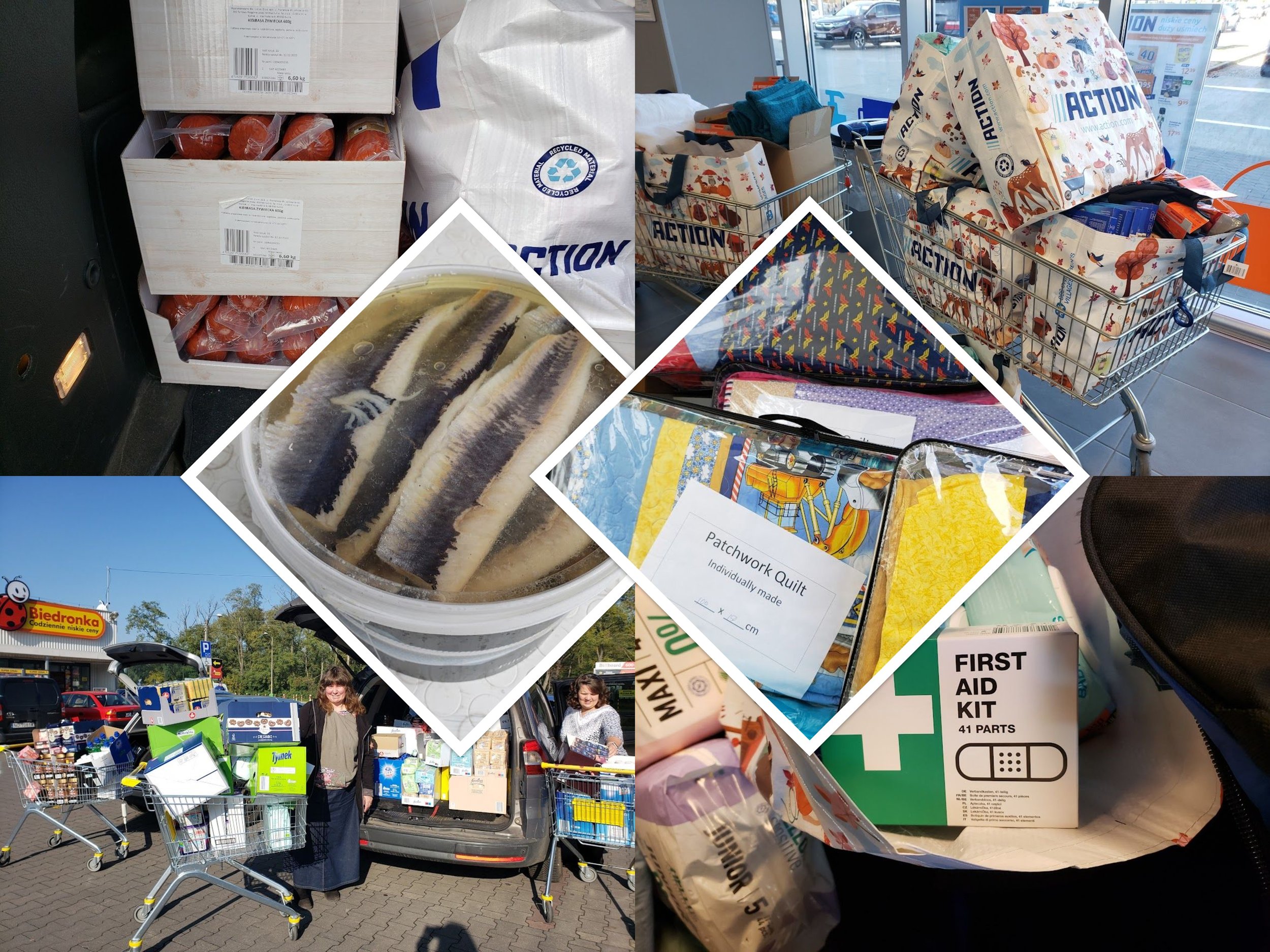 Weekly Review of Ukraine Efforts