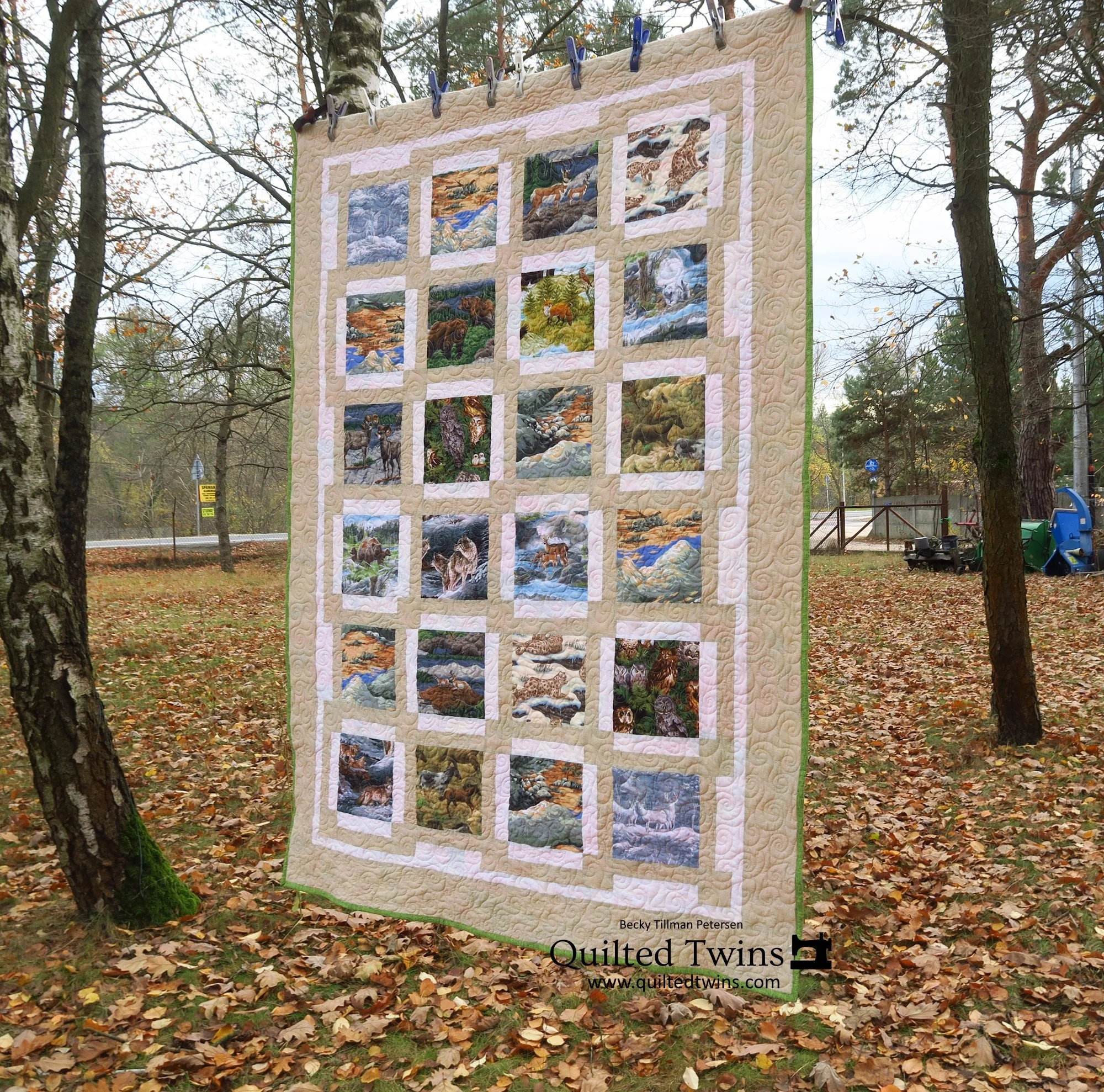 Gift Quilt - Heading to Central Asia