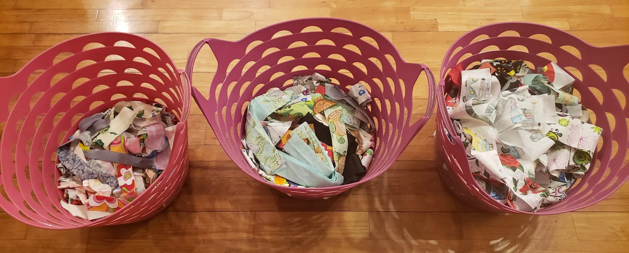 January 2024 Strips Cutting Report