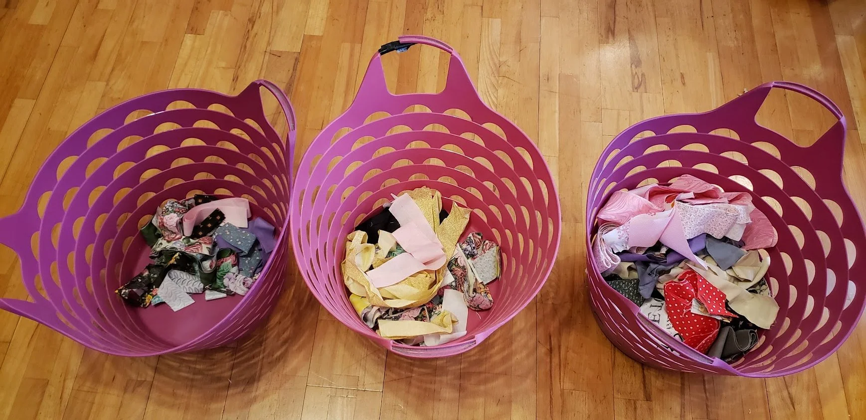 February 2024 Strips Cutting Report