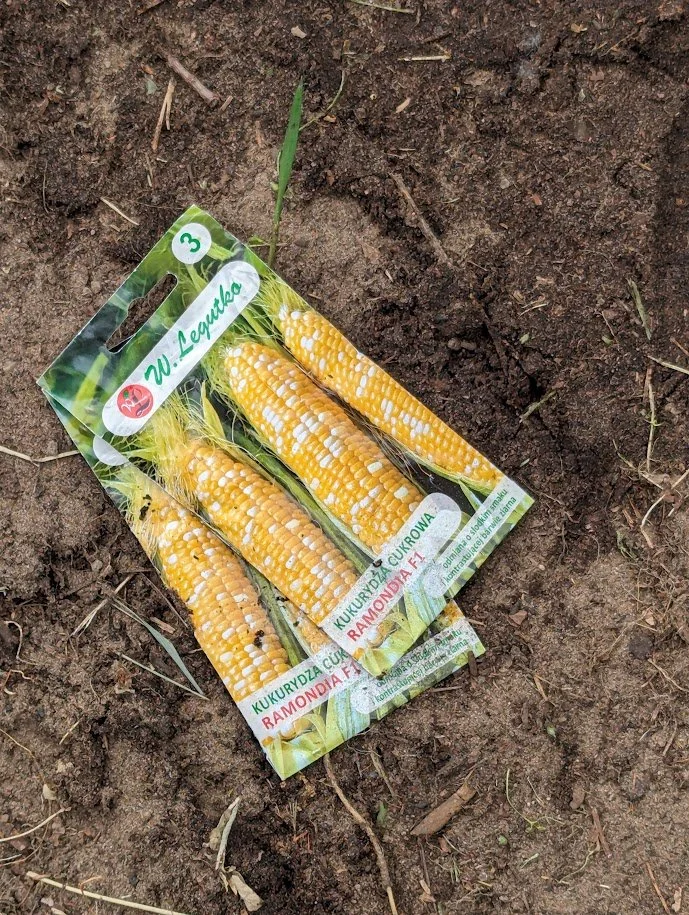 Getting Started on the Garden 2024