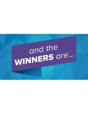 And the winners for the First Ever Quilted Twins Quilt Challenge are finally tallied!