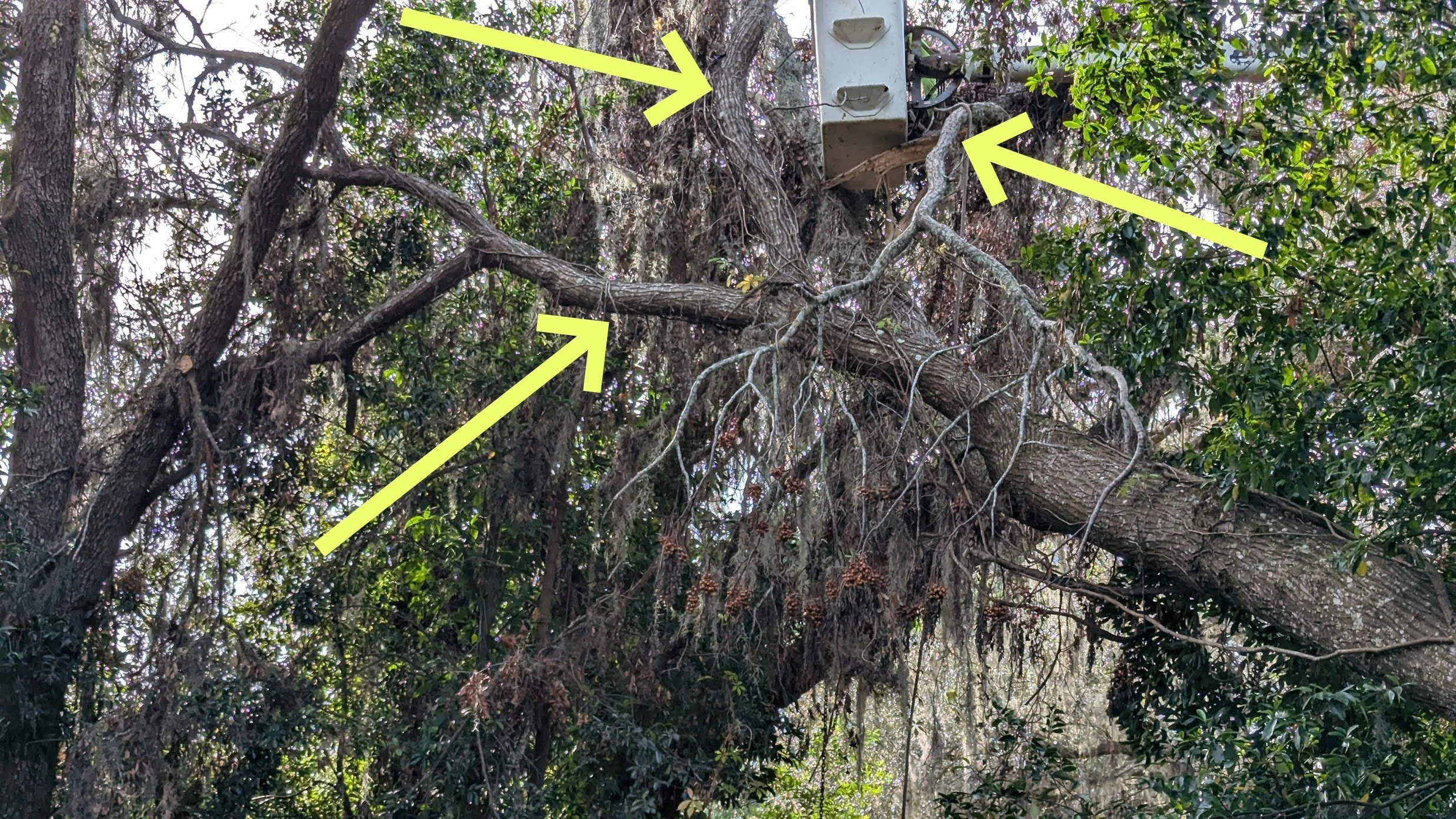 Milton's Aftermath - Revisited