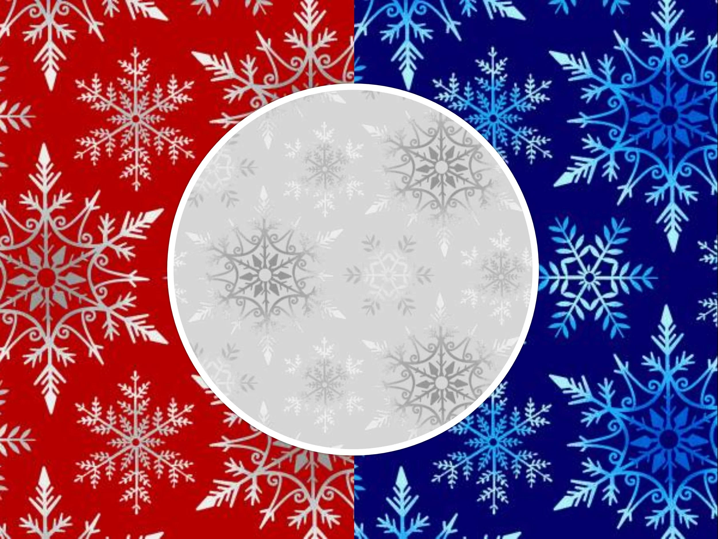 The Cold Snap in Florida!