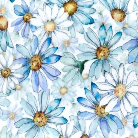 DCCRAZY4DAISIESMULTI.jpg