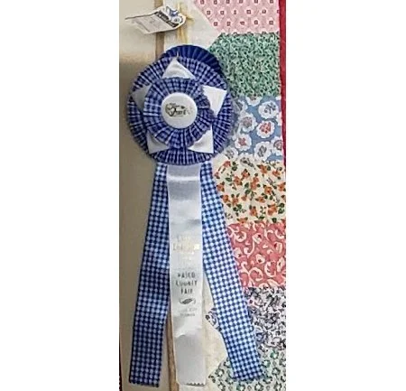 I got a Wow Ribbon at the fair!