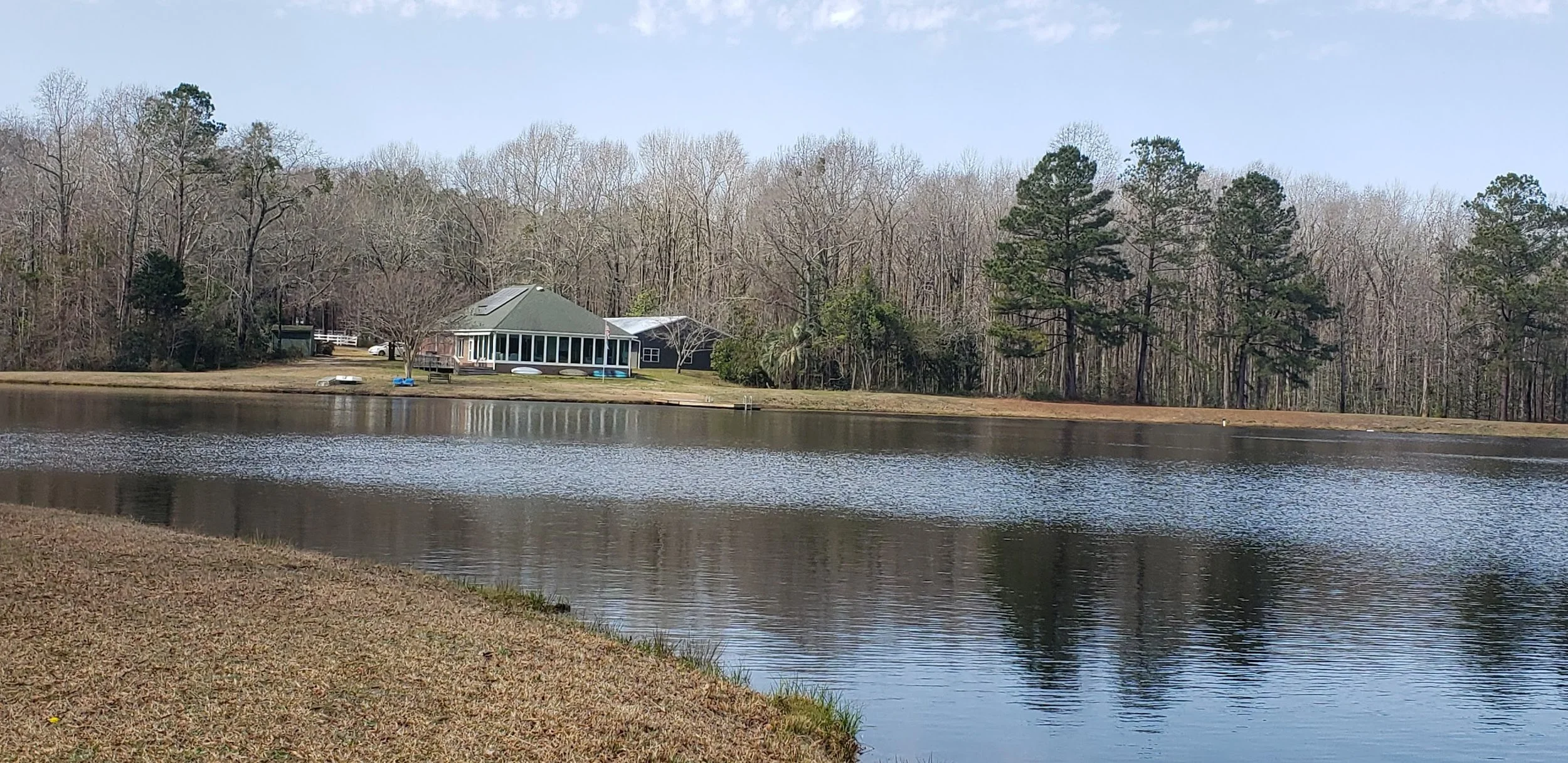 What am I seeing and doing?