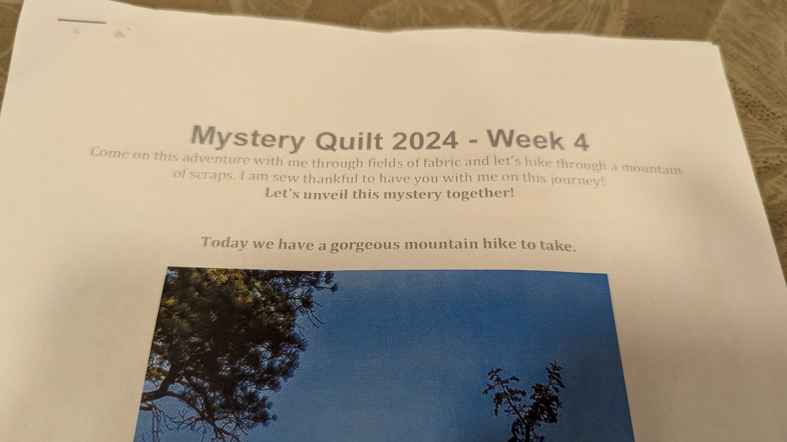 Back to the Edyta Sitar's 2024 mystery quilt
