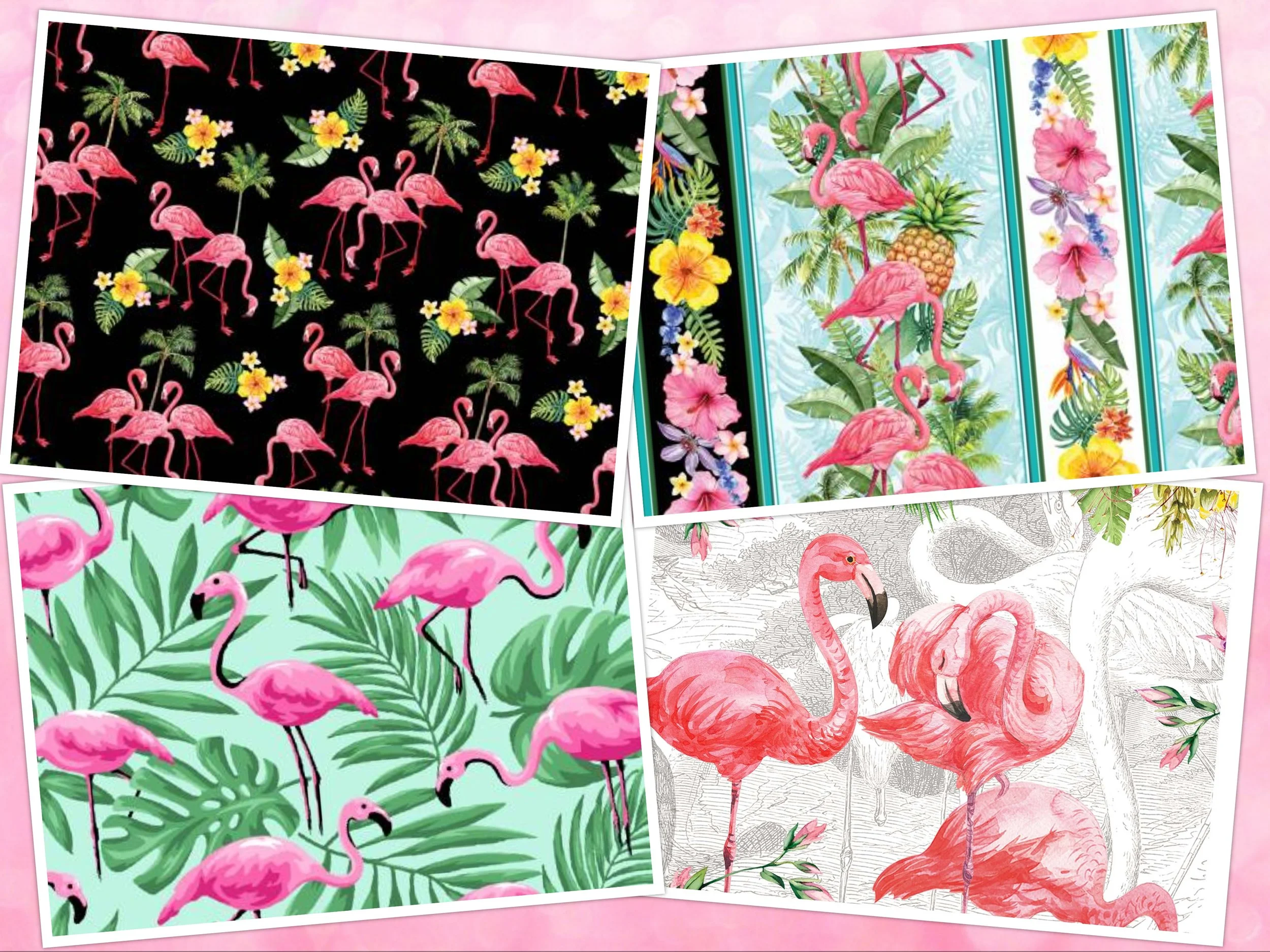 It's National Pink Flamingo Day Today in the USA!