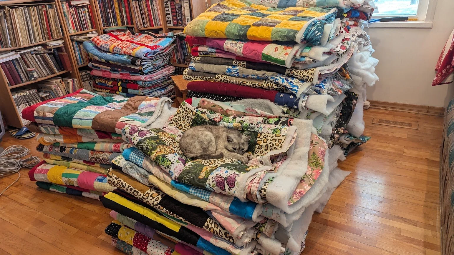 Charity Quilt update - end of Week 2+