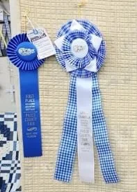 The Fair Grand and Reserve Grand Champion Winners