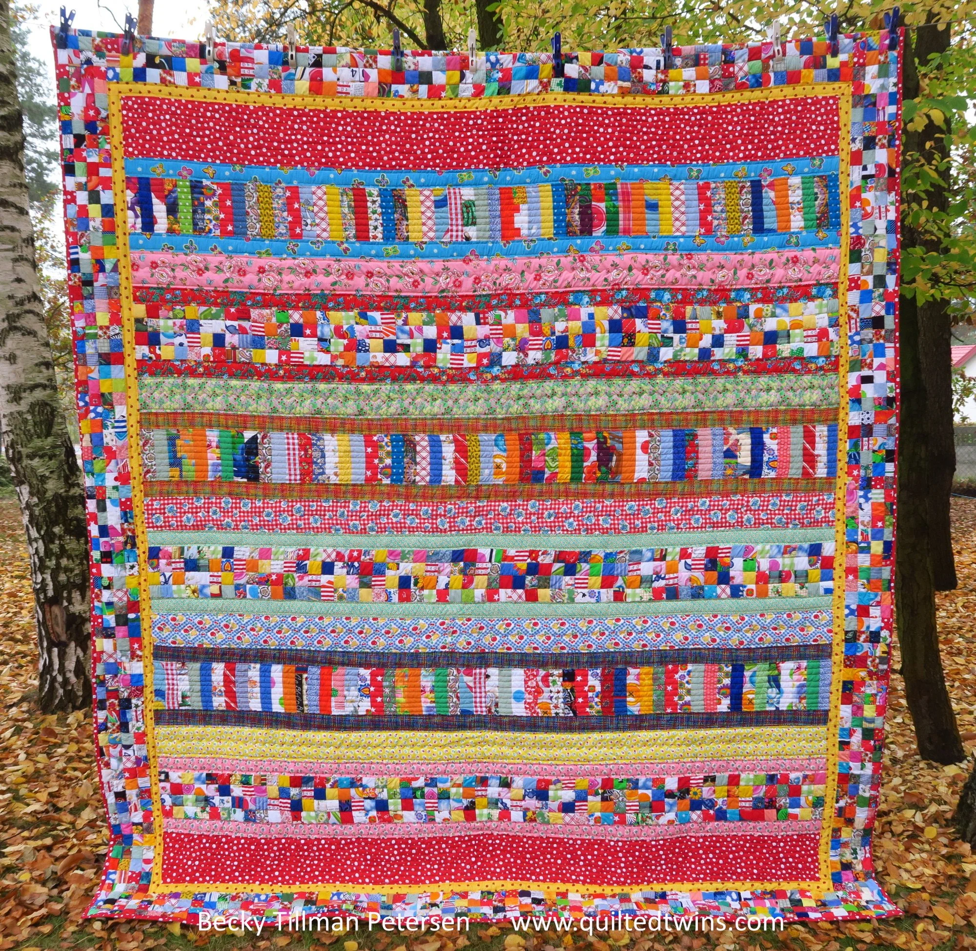 77 Not-so-quick-Strippie.jpg