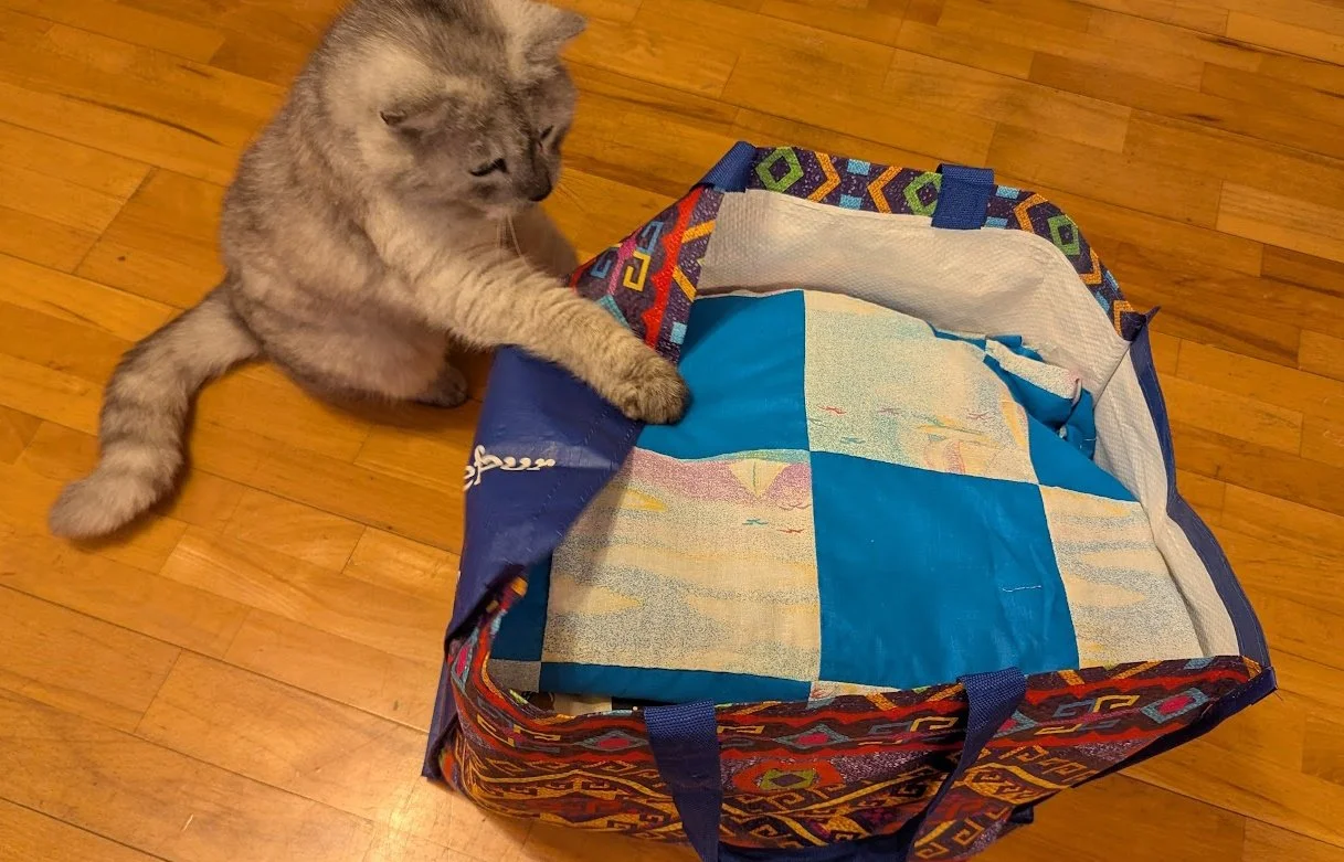 2026 Charity quilt TOPS 141-150