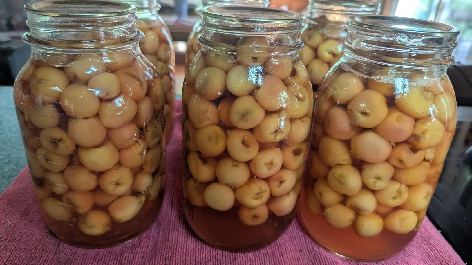 I Took a Canning Break