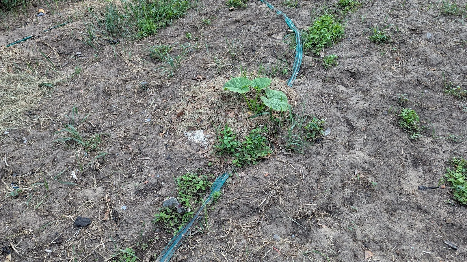 PXL_20260623_151759884.jpg