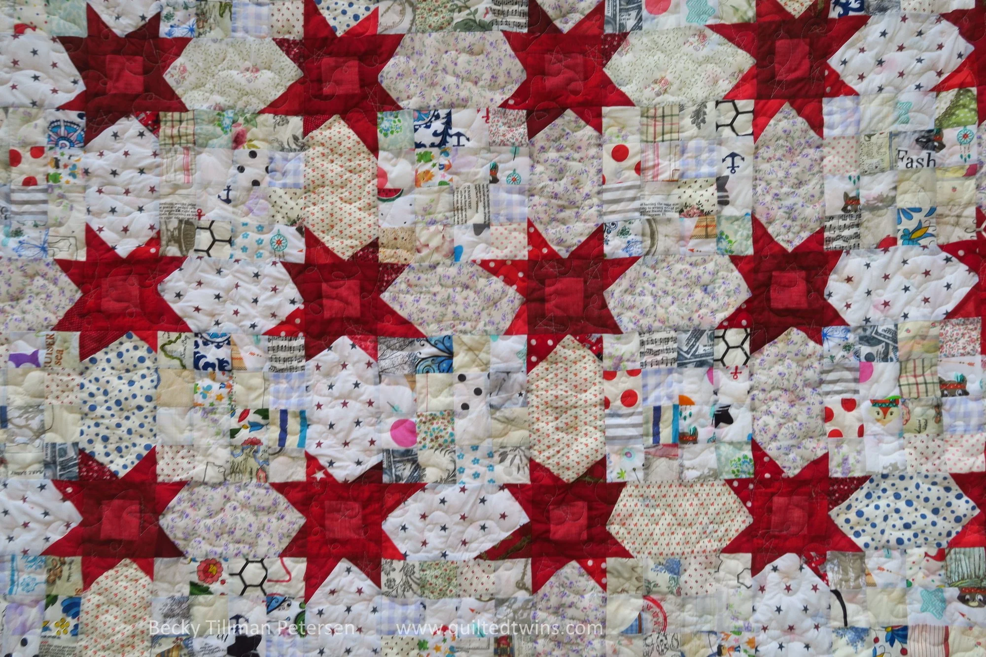 Field of Wonky Stars