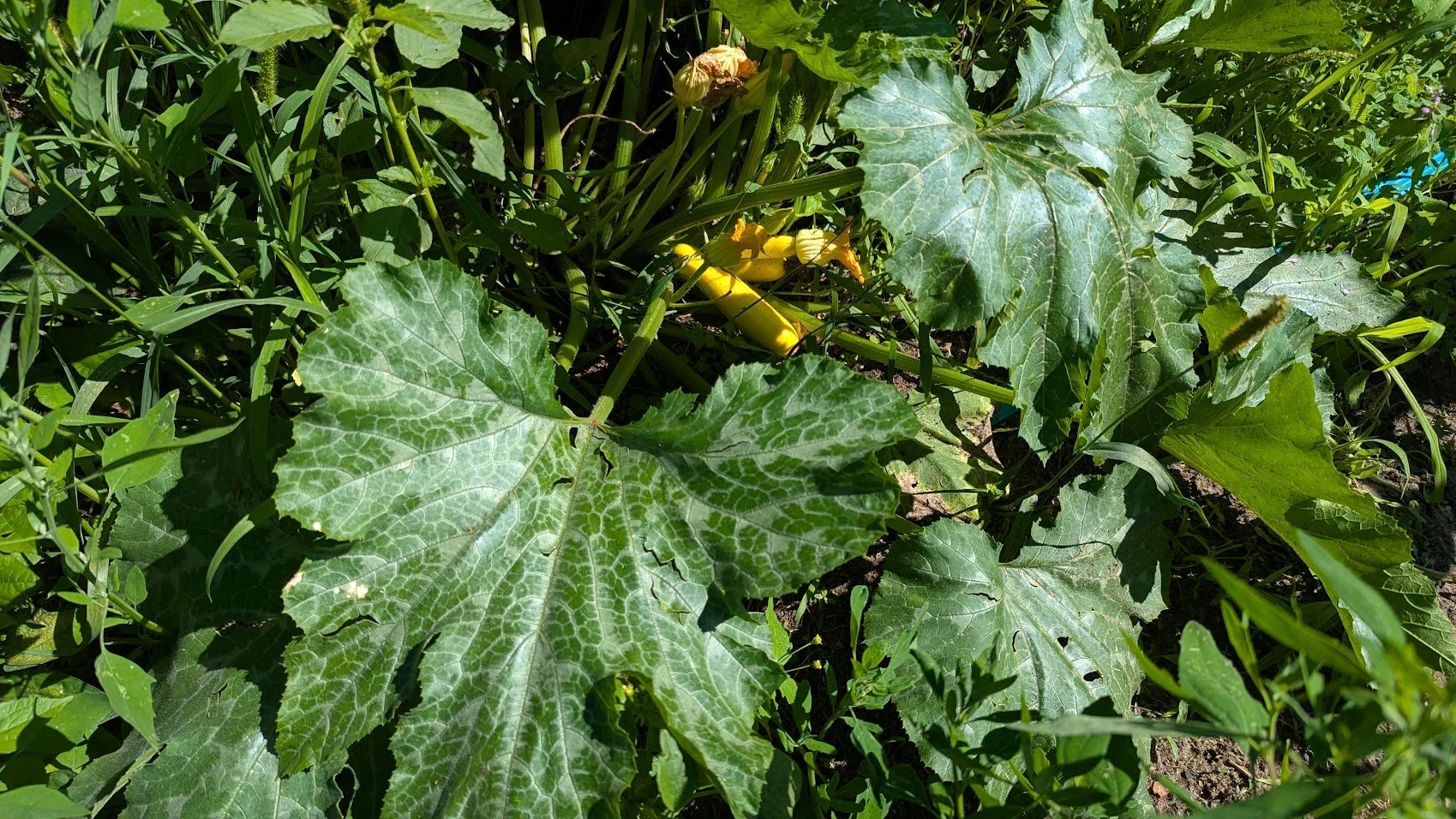 PXL_20260814_120036418.jpg