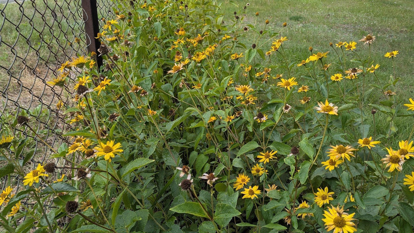 PXL_20260831_121700045.jpg