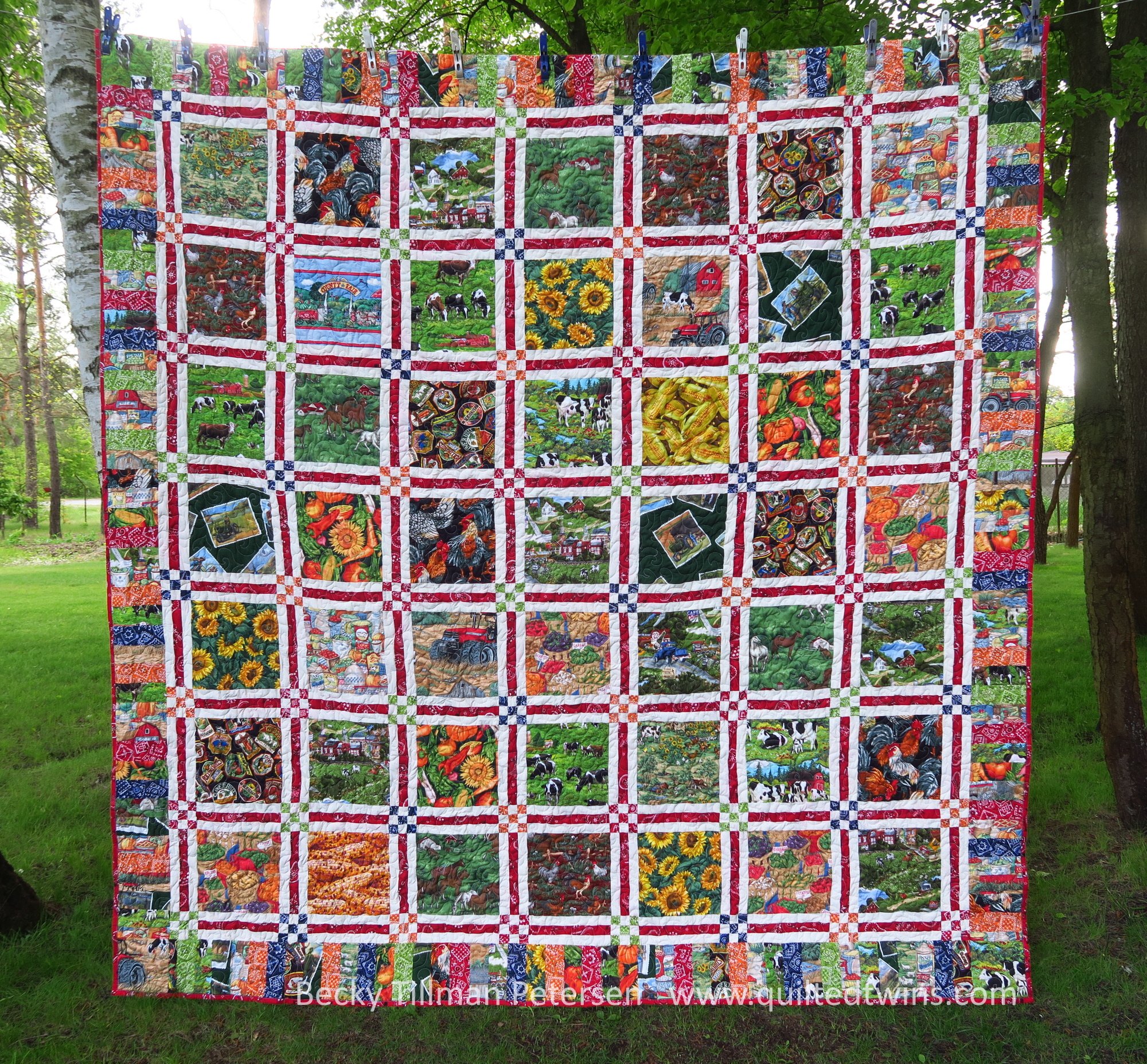 Show Off the Farm - a fundraiser quilt for Dade City, FL Farm Bureau