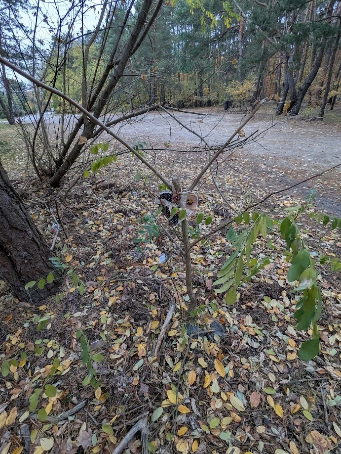 PXL_20261022_081855192.jpg