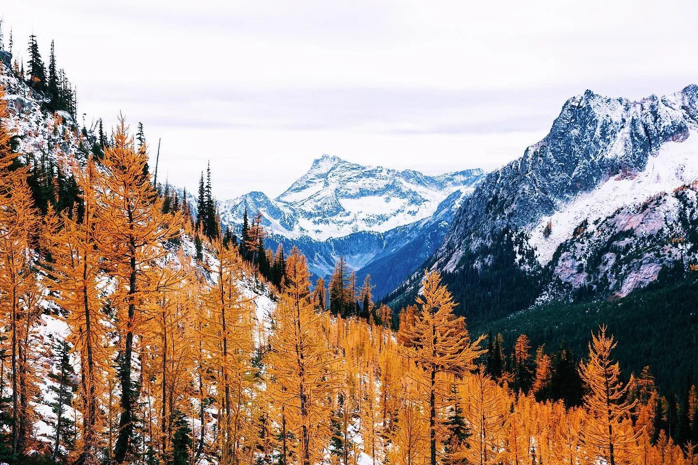 lol, so seems like most of y&rsquo;all aren&rsquo;t into the food photos 🤷🏻&zwj;♂️

I&rsquo;m aware that many of you are here for the outdoors content, so I&rsquo;ll throw a bone to you degenerates who just love seeing mountains and trees all the t