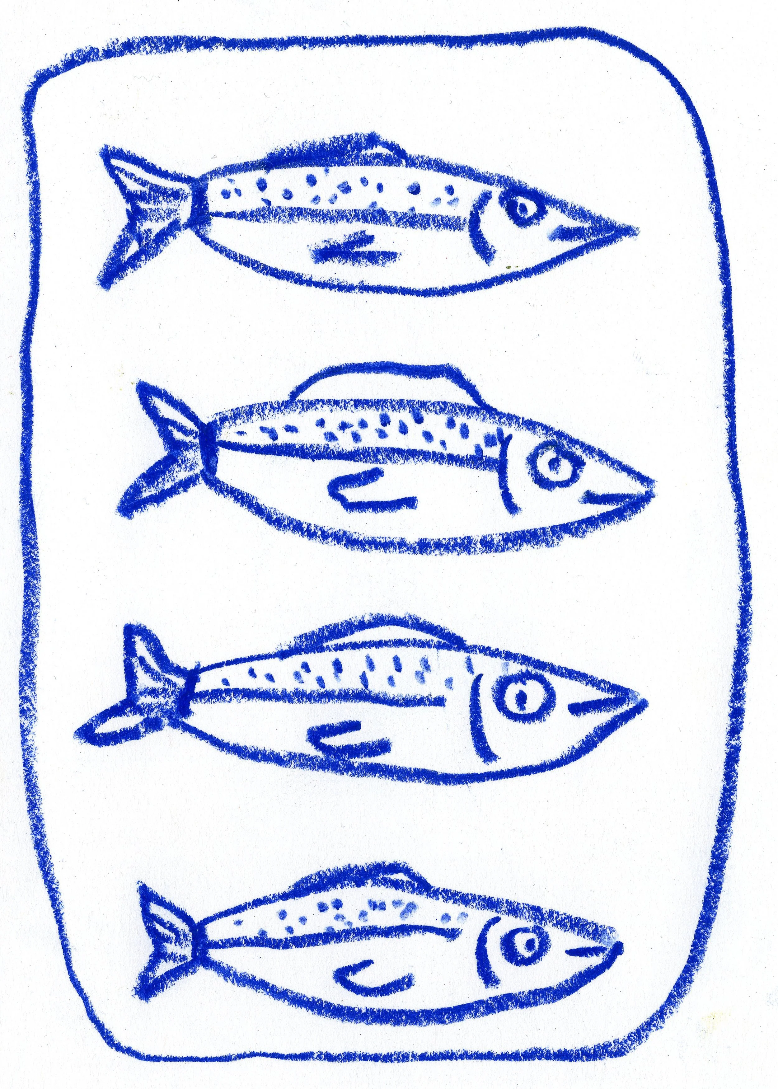 fish 4.jpg