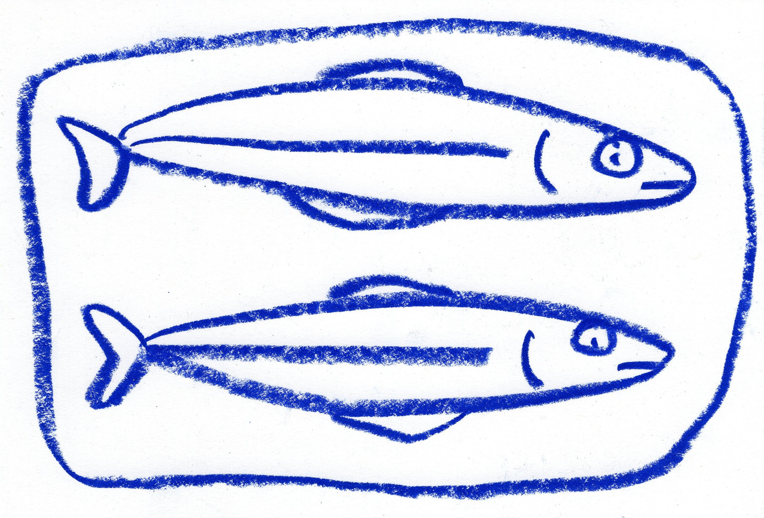 fish 3.jpg