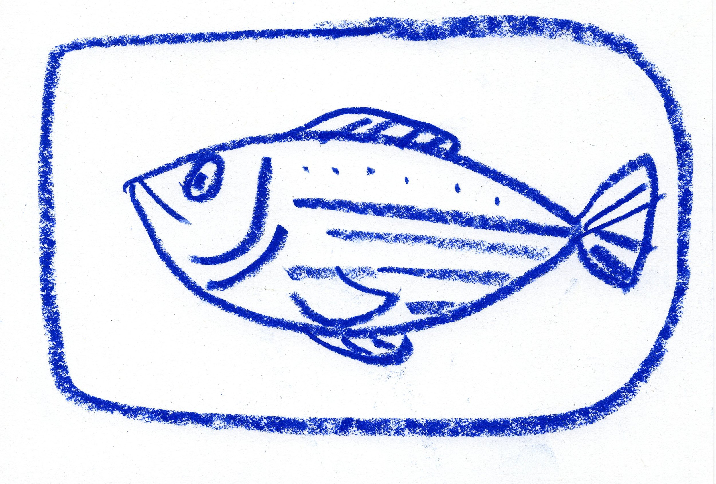 fish 6.jpg