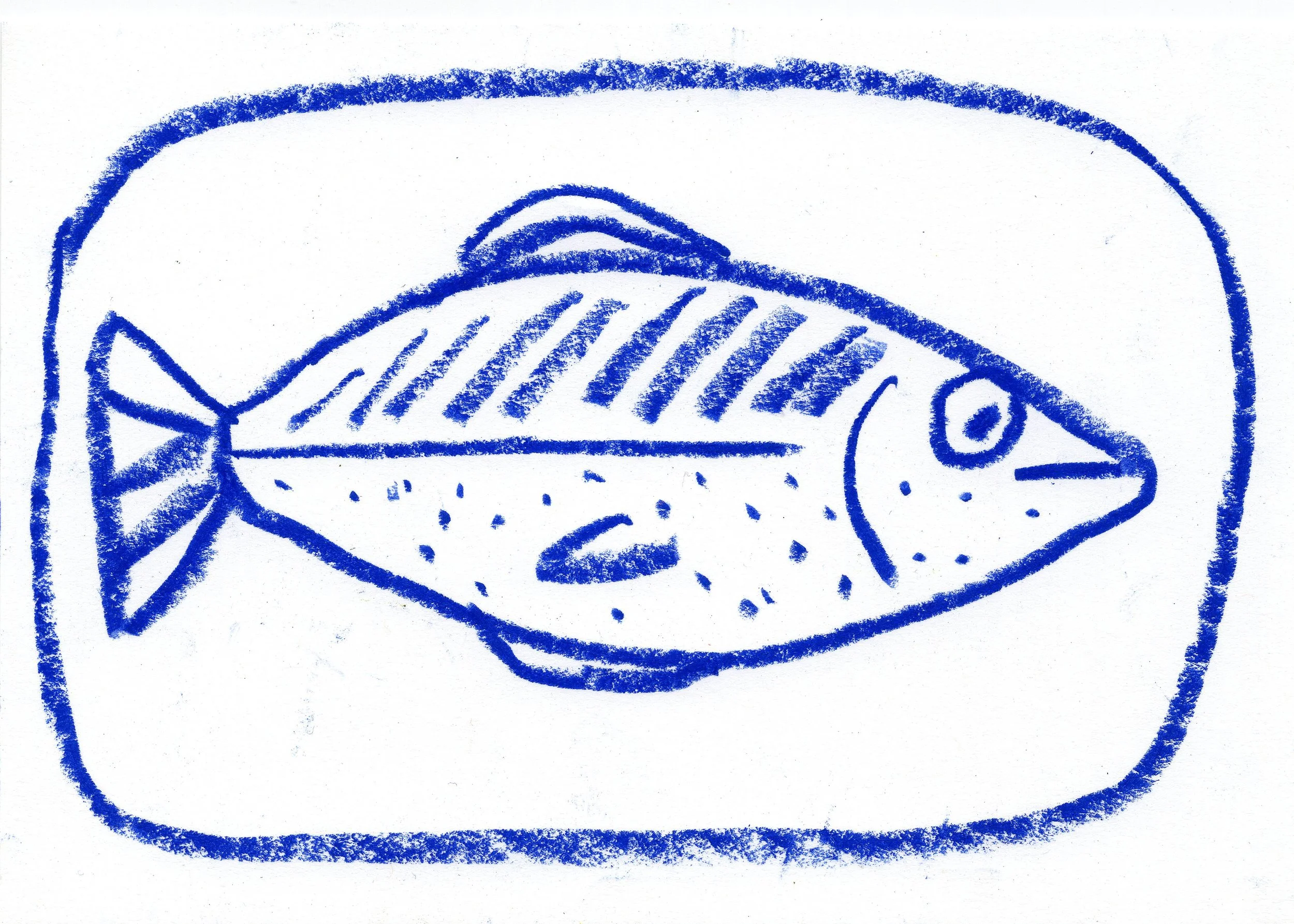 fish 1.jpg